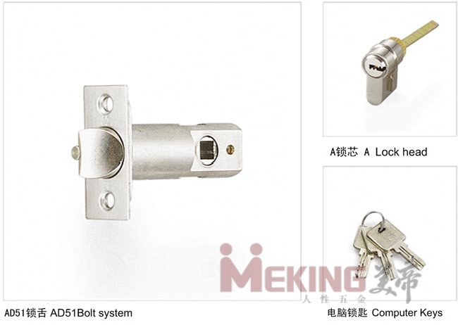 AD51锁舌系统